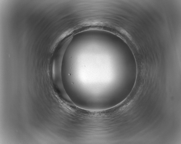 X0000067370922200604031029
