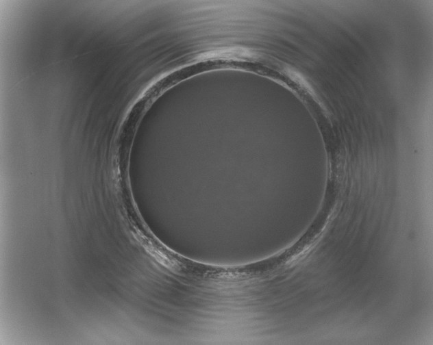 X0000067370923200604031029