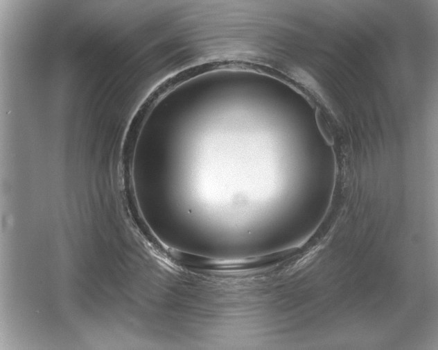 X0000067370924200604031029
