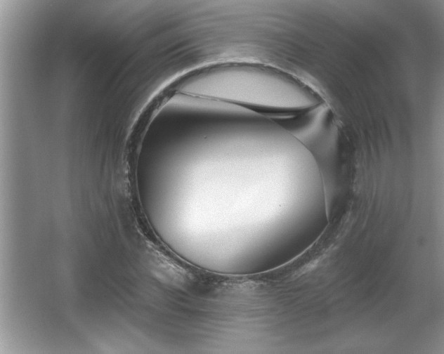 X0000067370926200604031029