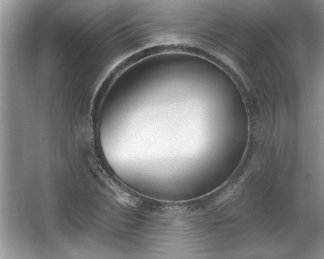 X0000067370927200604031029