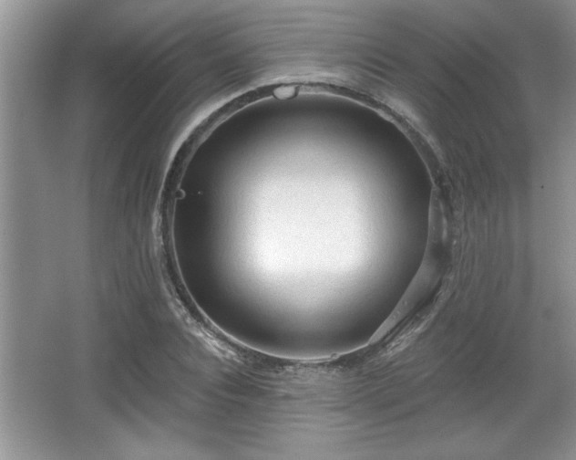 X0000067370928200604031029