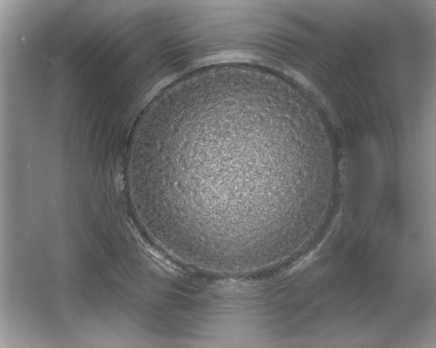 X0000067370929200604031029