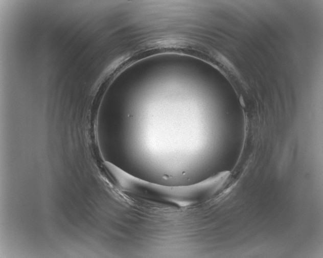 X0000067370930200604031029