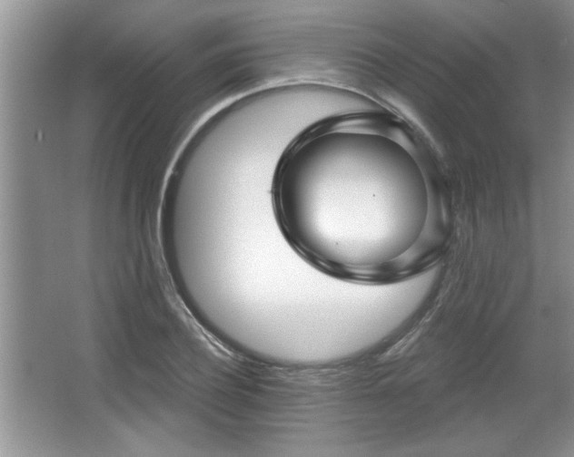 X0000067370932200604031029