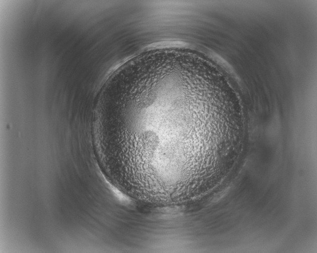 X0000067370937200604031030
