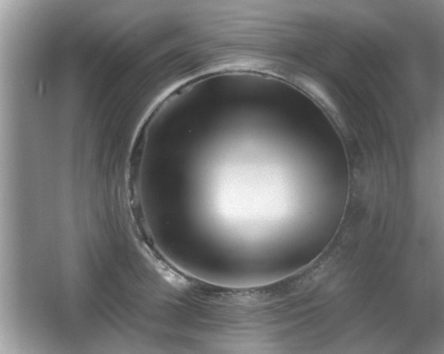 X0000067370948200604031030
