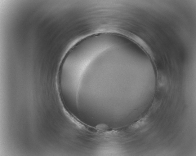 X0000067370958200604031030