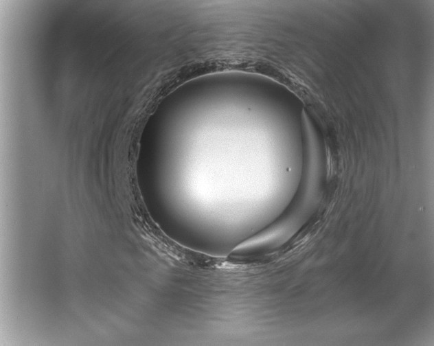 X0000067370961200604031029