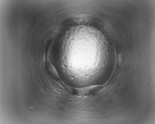 X0000067370963200604031029