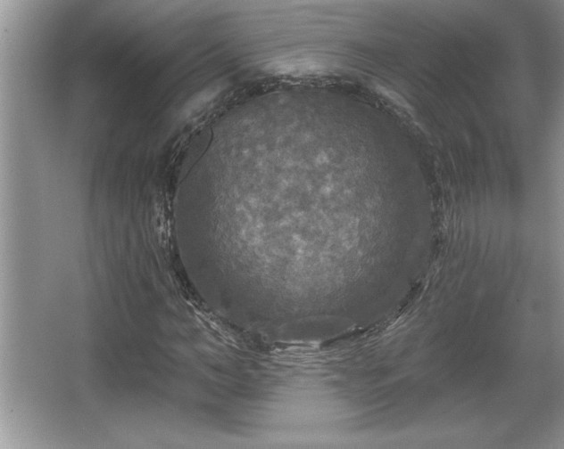 X0000067370966200604031029