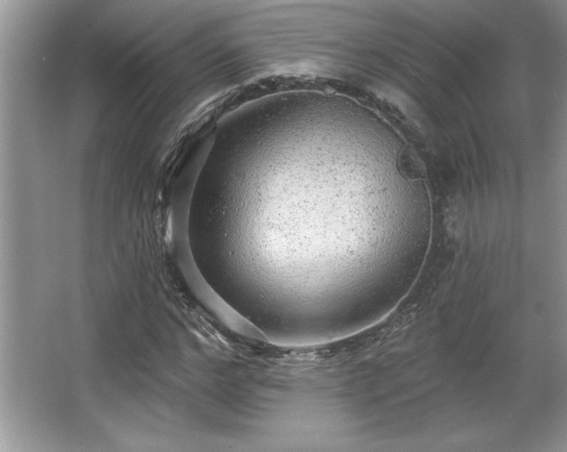 X0000067370968200604031029