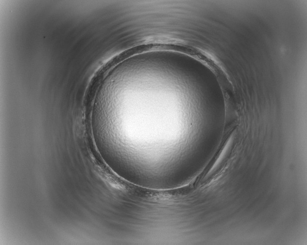 X0000067370971200604031029
