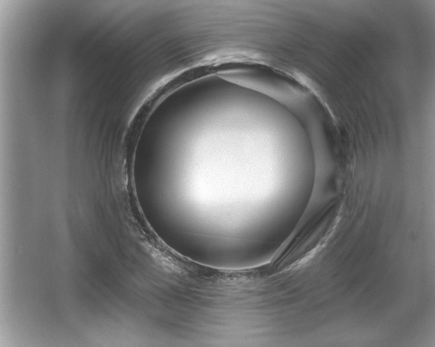 X0000067370973200604031029