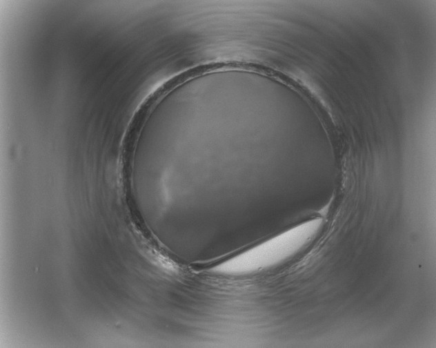 X0000067370975200604031029