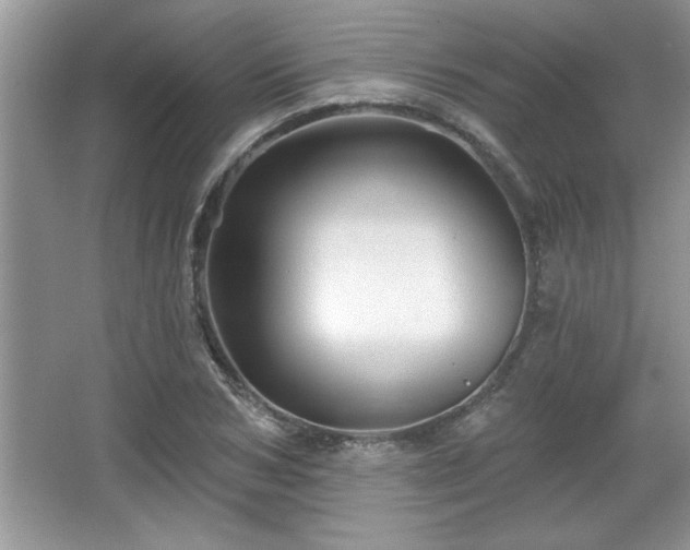 X0000067370978200604031029