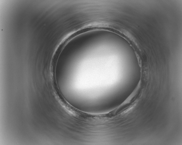 X0000067370981200604031029
