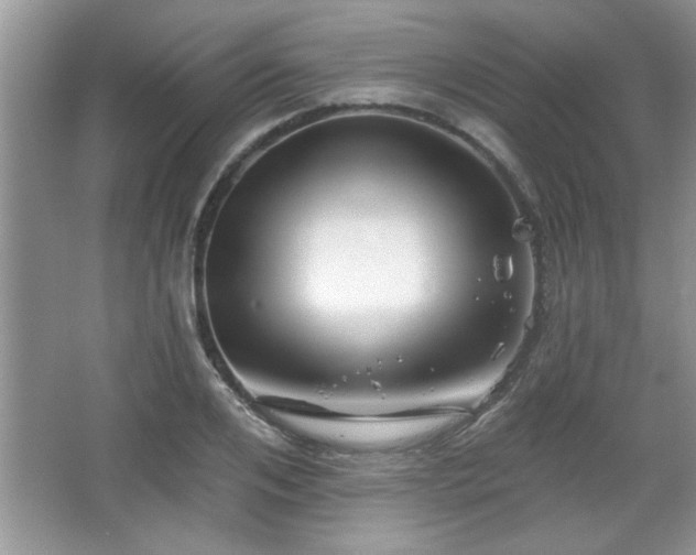 X0000067370984200604031029
