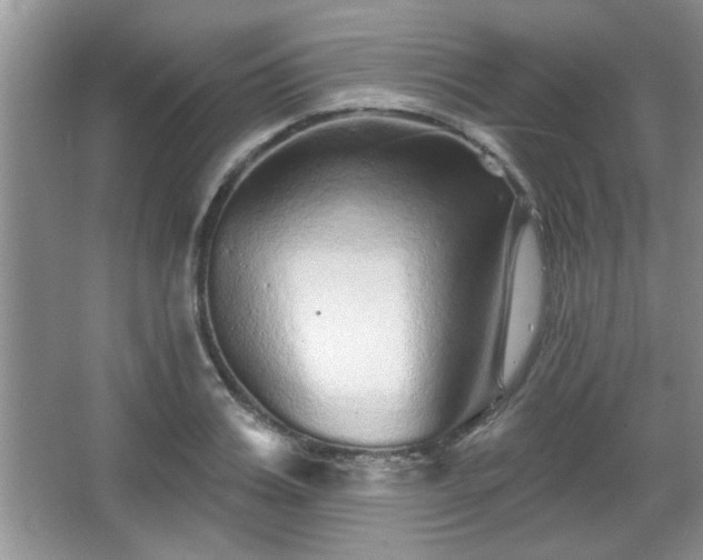 X0000067370987200604031029