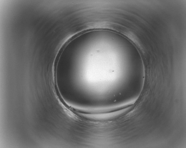 X0000067370988200604031029