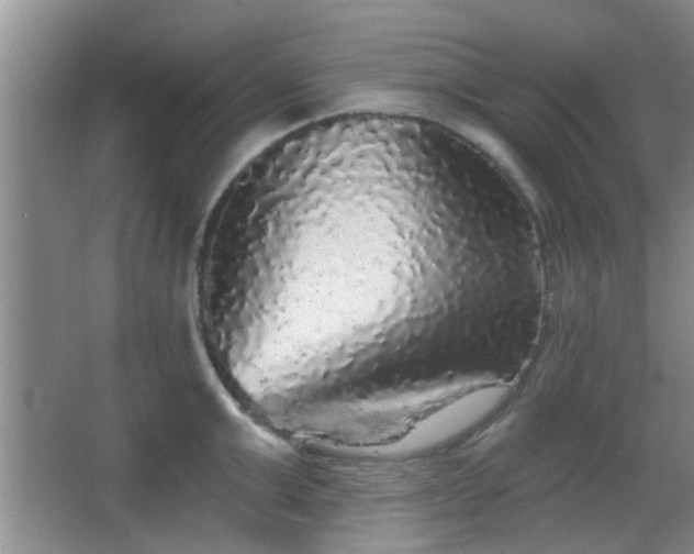 X0000067370999200604031029