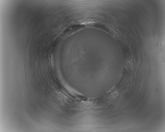 X0000067371010200604031028