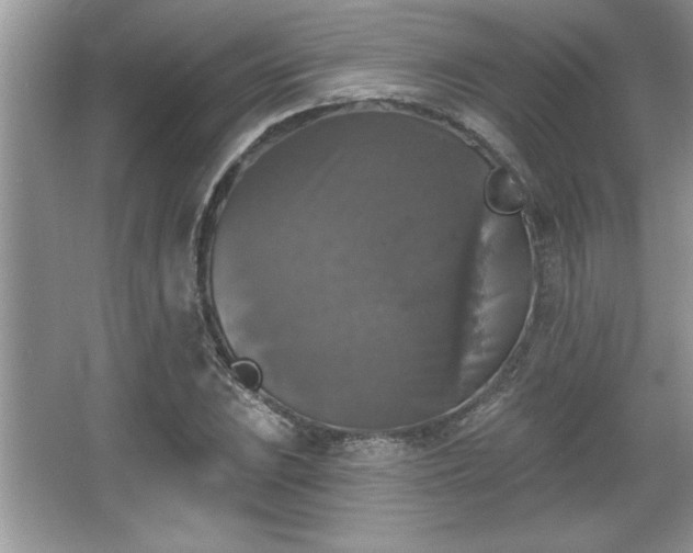 X0000067371023200604031028