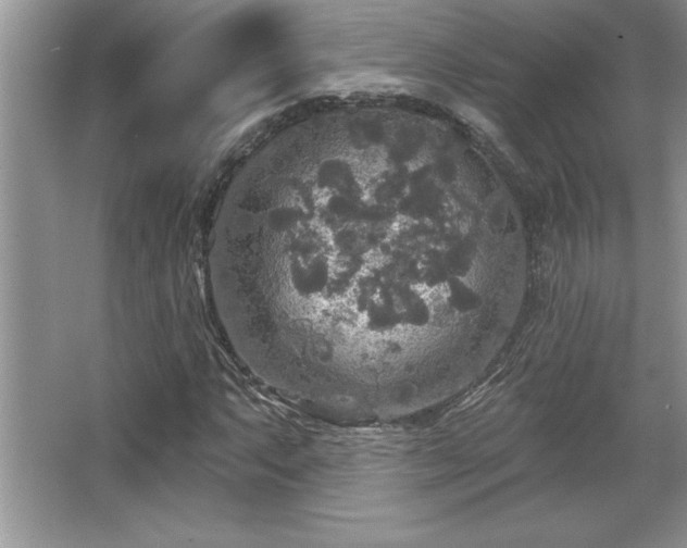 X0000067371063200604031027