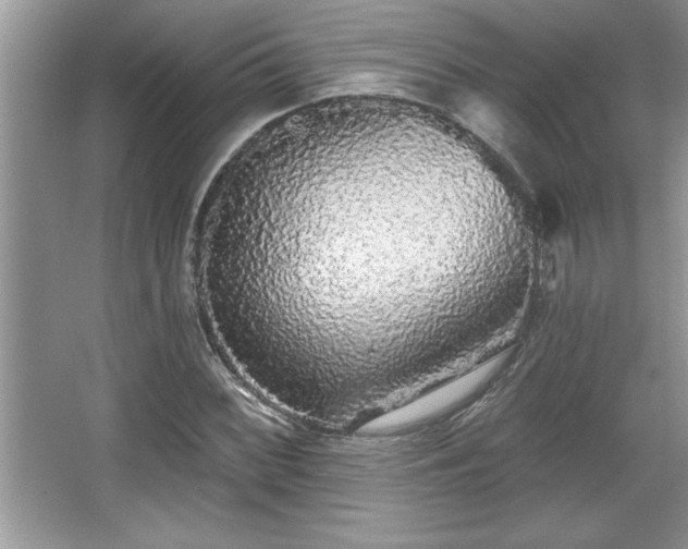 X0000067371068200604031027