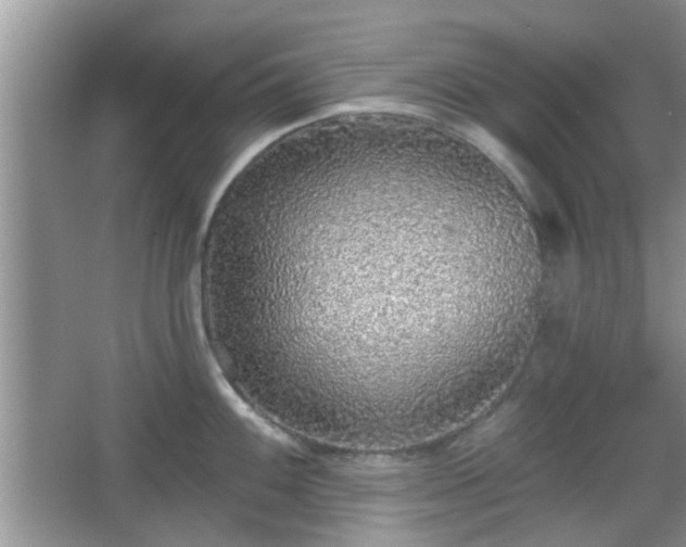 X0000067371100200604031027