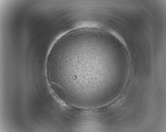 X0000067371104200604031027