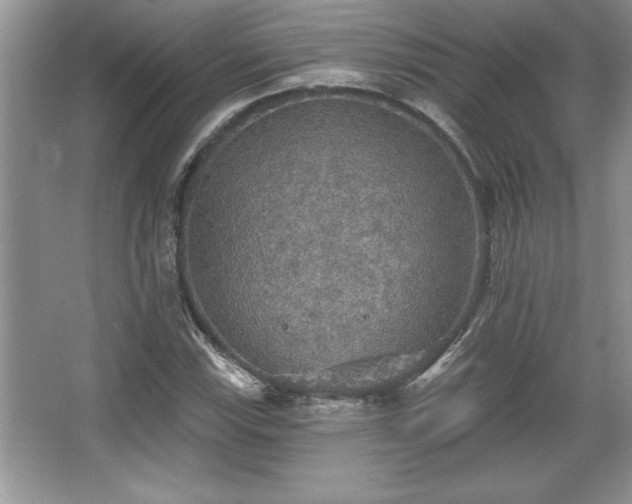 X0000067371115200604031026