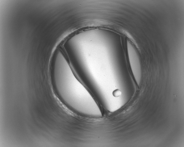 X0000067371122200604031026