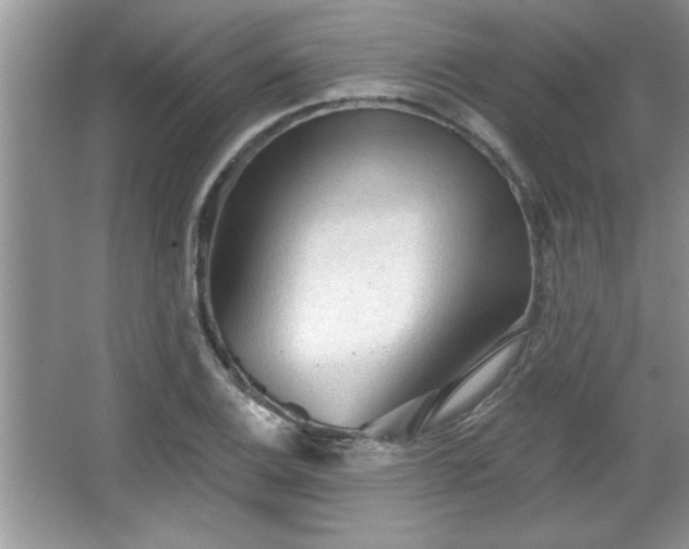 X0000067371124200604031026