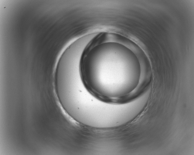X0000067371152200604031027