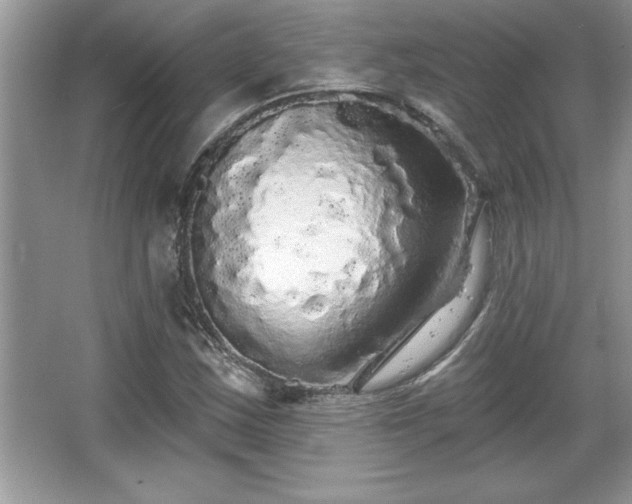 X0000067371163200604031026