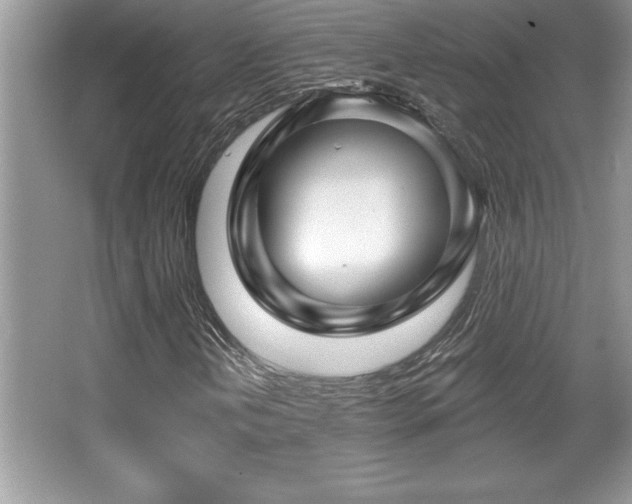 X0000067371202200604031024