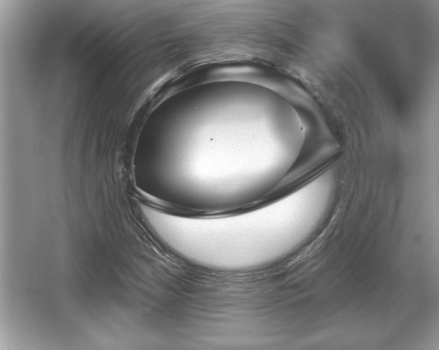X0000067371210200604031024