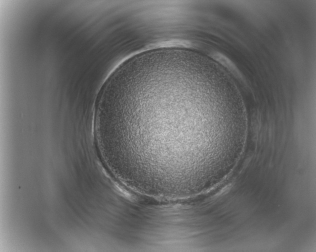 X0000067371228200604031025