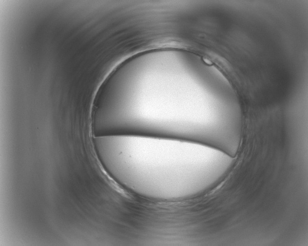 X0000067371236200604031025