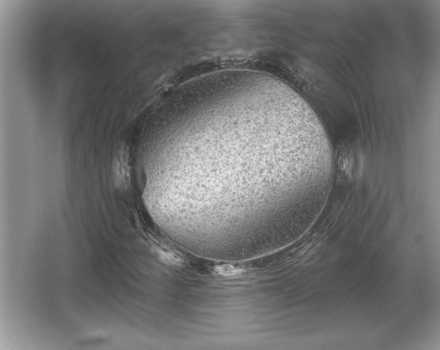 X0000067371252200604031024