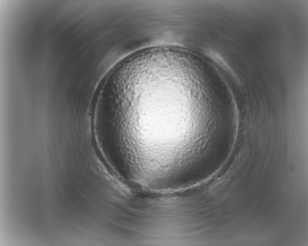 X0000067371268200604031024