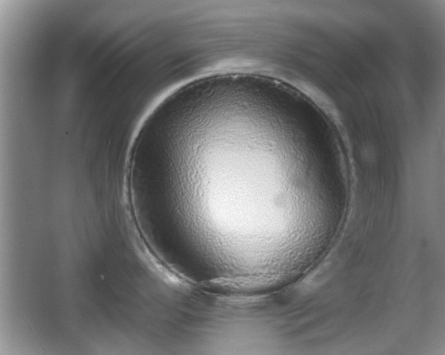 X0000067371296200604031023