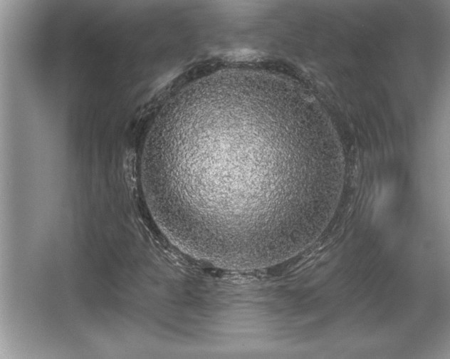 X0000067371301200604031023