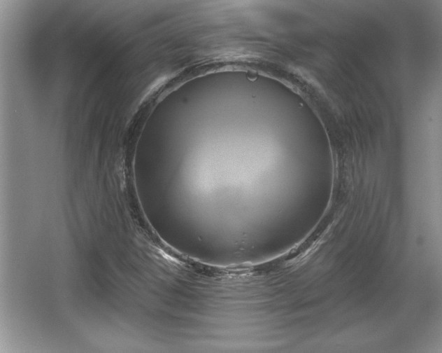 X0000067371306200604031023