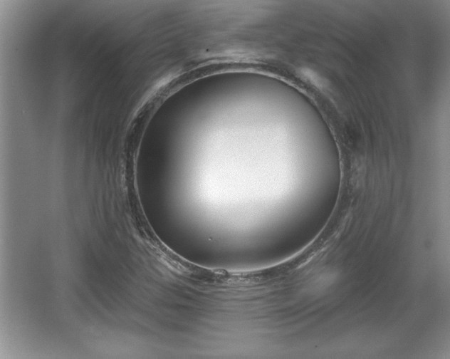 X0000067371307200604031023