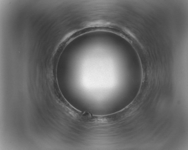X0000067371315200604031023