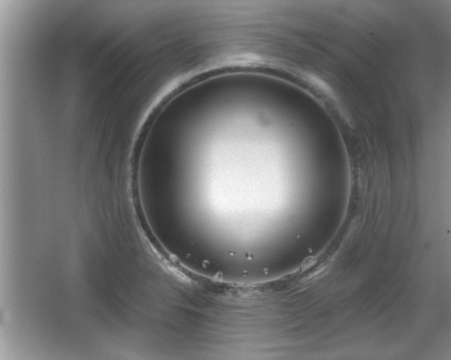 X0000067371326200604031023