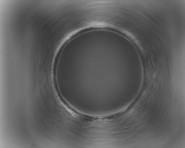 X0000067371327200604031023