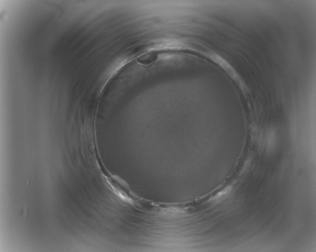 X0000067371337200604031023